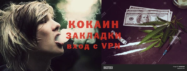 дживик Бородино