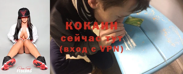 дживик Бородино
