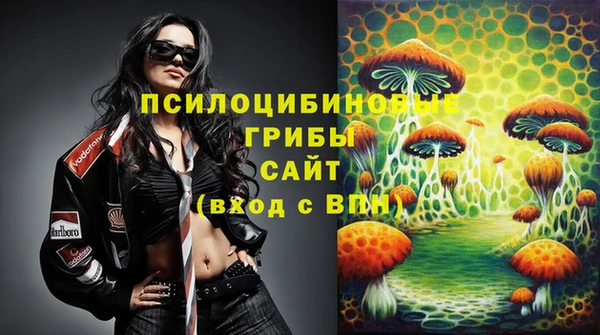 прущие грибы Бронницы