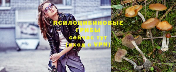 дживик Бугульма