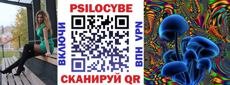 Псилоцибиновые грибы Psilocybine cubensis  Калач-на-Дону 